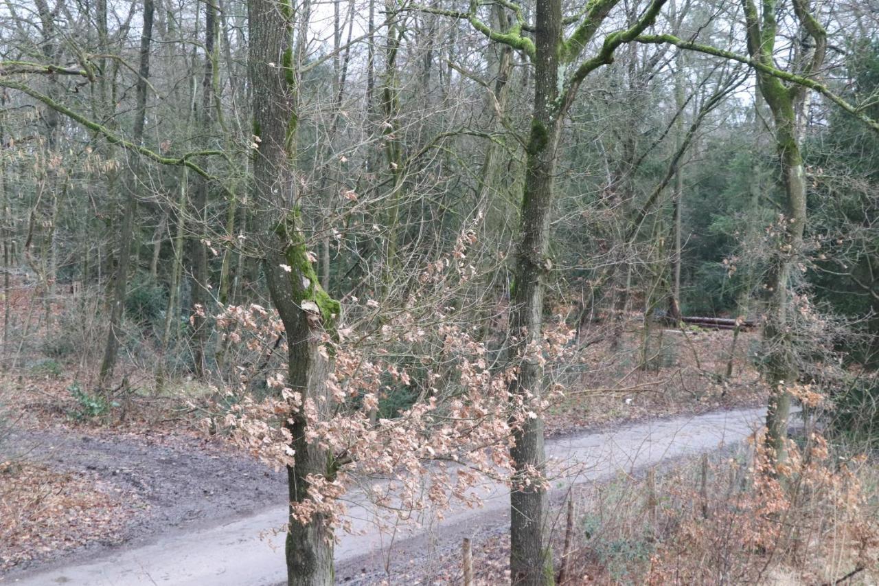 WijkD Appartement Leende Buitenkant foto
