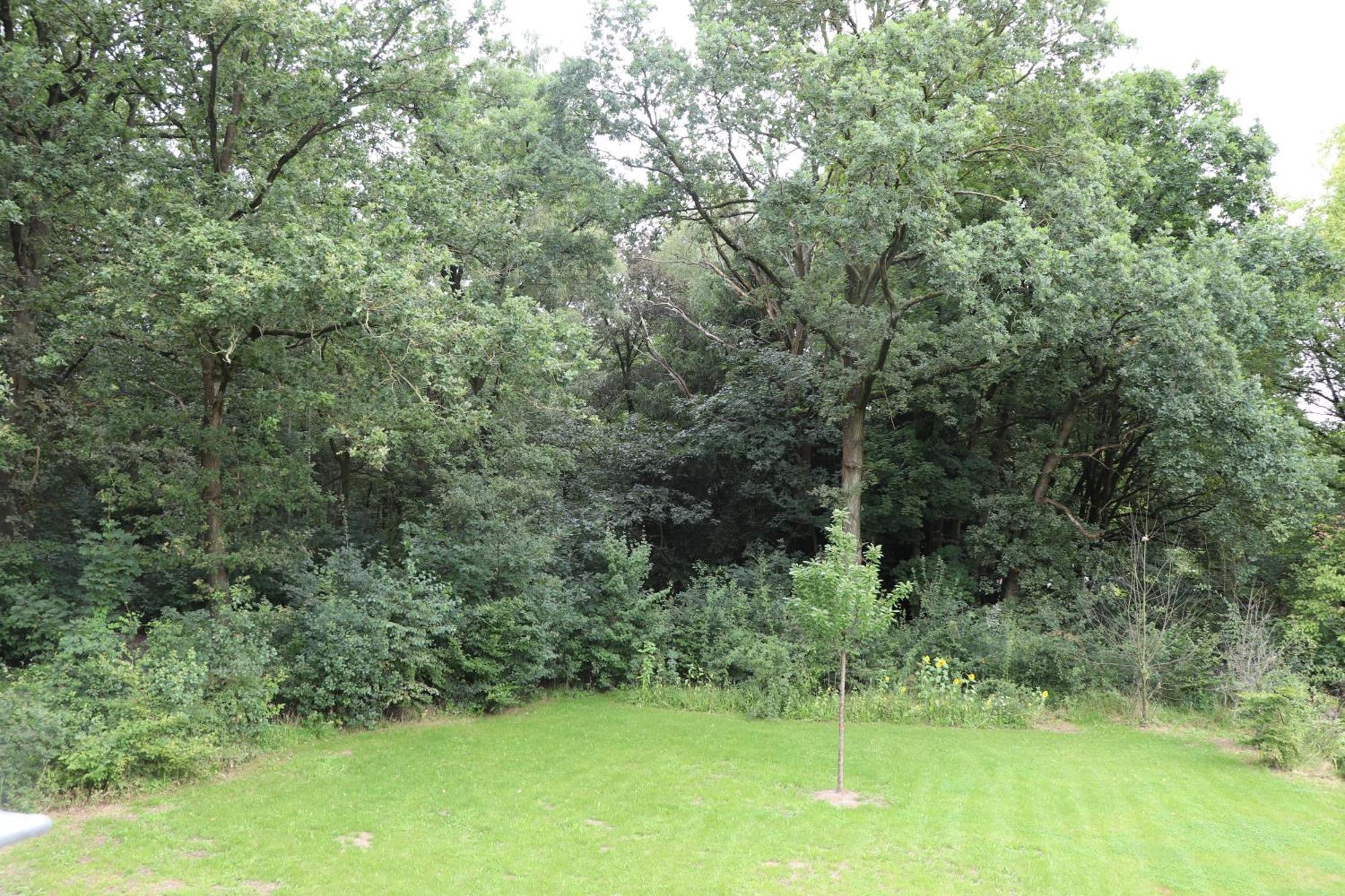 WijkD Appartement Leende Buitenkant foto